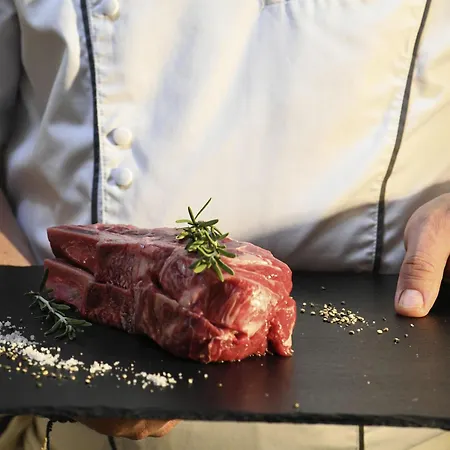 Novotel Arenas Aeroport Nizza