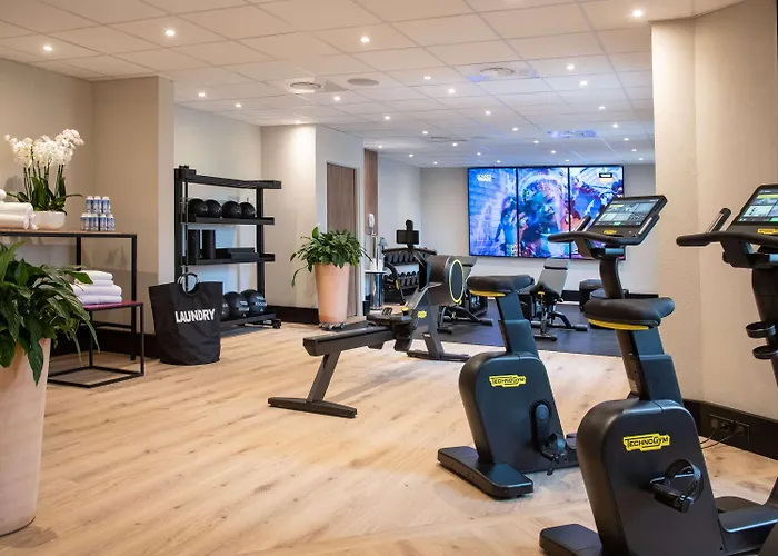 노보텔 아레나스 아에로포르트 호텔 니스