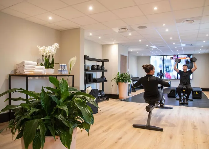 노보텔 아레나스 아에로포르트 4* 니스