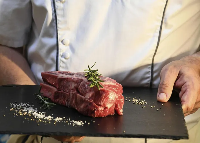 노보텔 아레나스 아에로포르트 니스