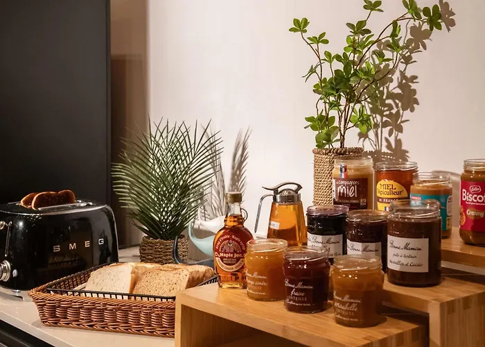 노보텔 아레나스 아에로포르트 4* 니스