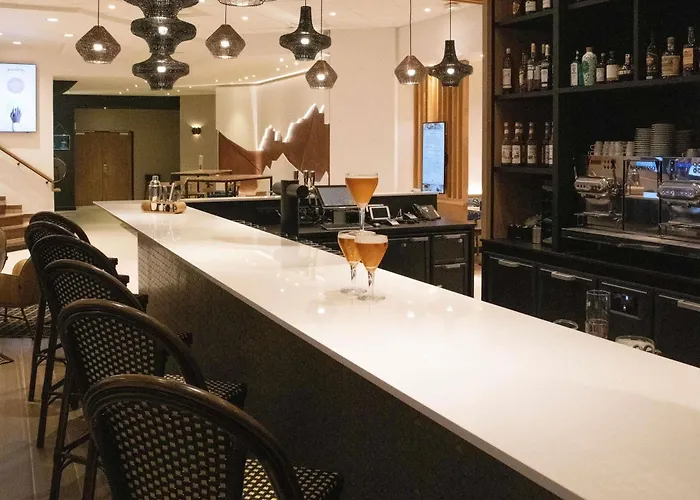 노보텔 아레나스 아에로포르트 4* 니스